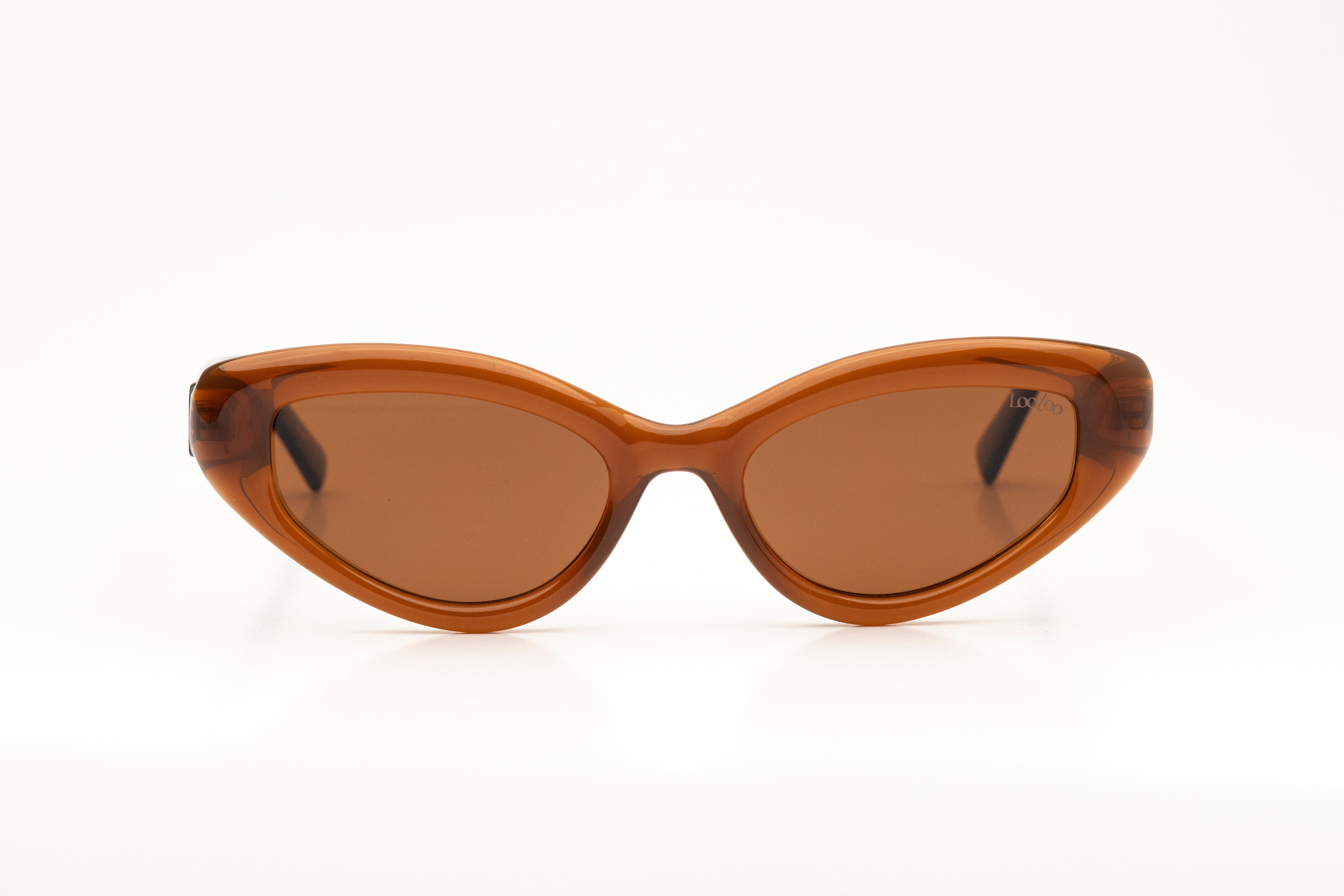 Sunglasses with brown acetate frame  and brown lenses, on a white background.